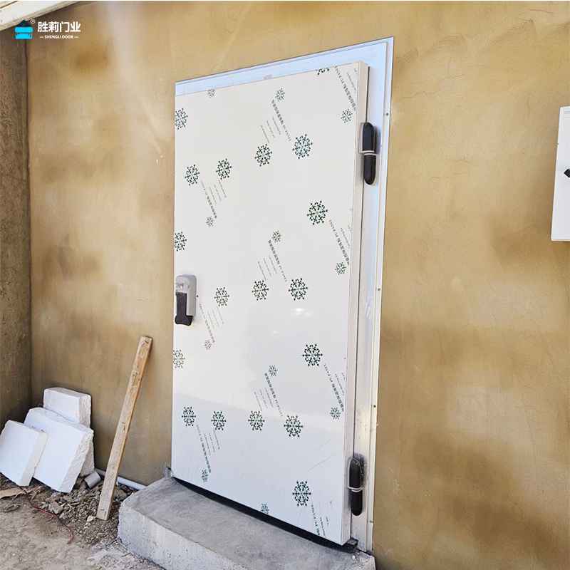 color steel cold room hinged door