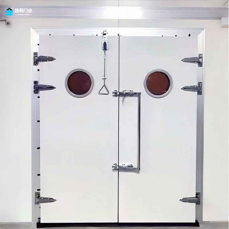 color steel double cold room swing door