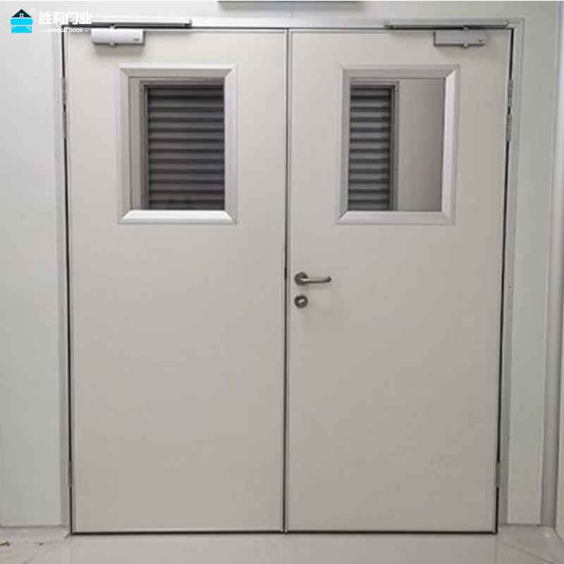 handmade double clean room door